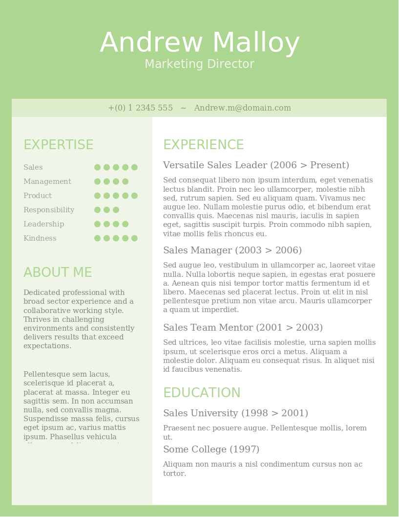 Simple Green CV preview
